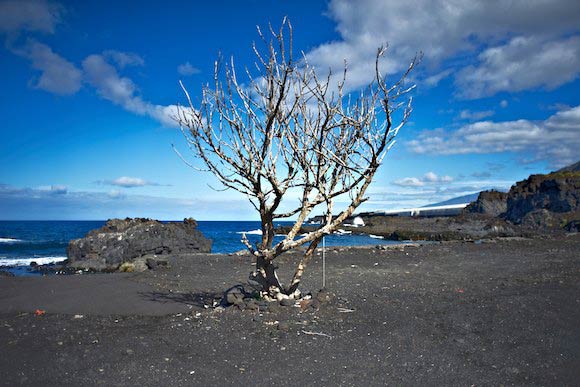 La Palma 11 03 16 22