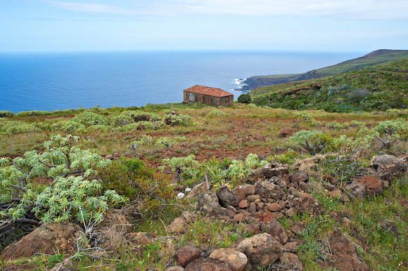 La Palma 11 03 19 70