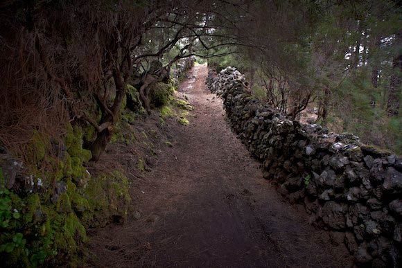 La Palma 11 03 25 73