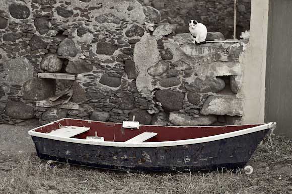 P4180351