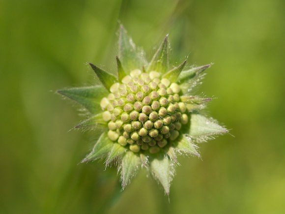 EM5 2014 05 08 1161
