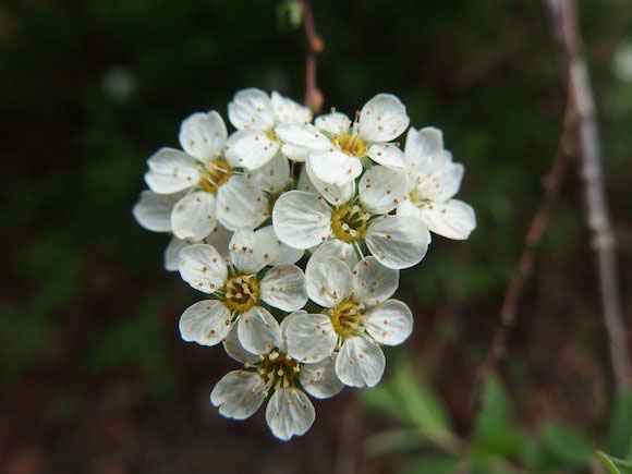 P4130077