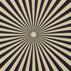 LEICA-DG-SUMMILUX-25-F1_4-1_4_Siemens