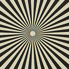 LEICA-DG-SUMMILUX-25-F1_4-2_8_Siemens