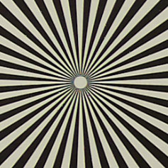 LUMIX-G-20-F1_7-4_Siemens