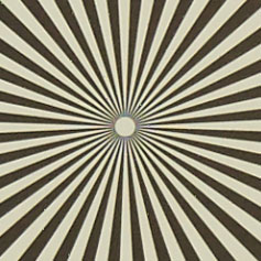 LUMIX-G-VARIO-100-300-F4_0-5_6-8_Siemens