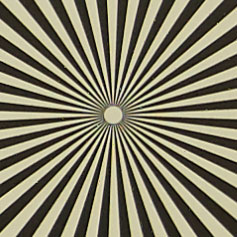 OLYMPUS_M_12-40mm_F2_8-2_8_Siemens