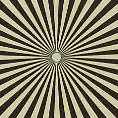 OLYMPUS_M_12-40mm_F2_8-4_Siemens