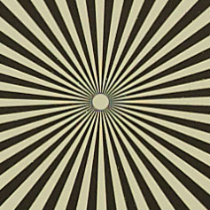 OLYMPUS_M_12-40mm_F2_8-5_6_Siemens