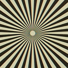 OLYMPUS_M_40-150mm_F2_8-4_Siemens