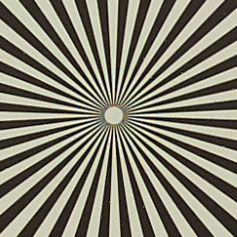 OLYMPUS_M_45mm_F1_8-4_Siemens