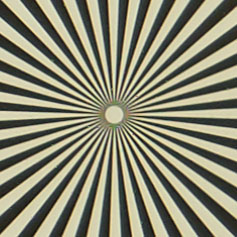 OLYMPUS_M_60mm_F2_8-Macro-2_8_Siemens