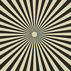 OLYMPUS_M_60mm_F2_8-Macro-4_Siemens