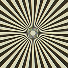 OLYMPUS_M_60mm_F2_8-Macro-5_6_Siemens