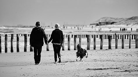 _EM11178