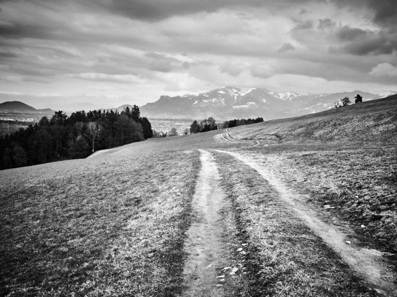 SPEN0369_2-Sterne