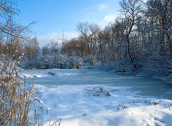 Landschaft