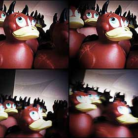 Quadcam iPhone App